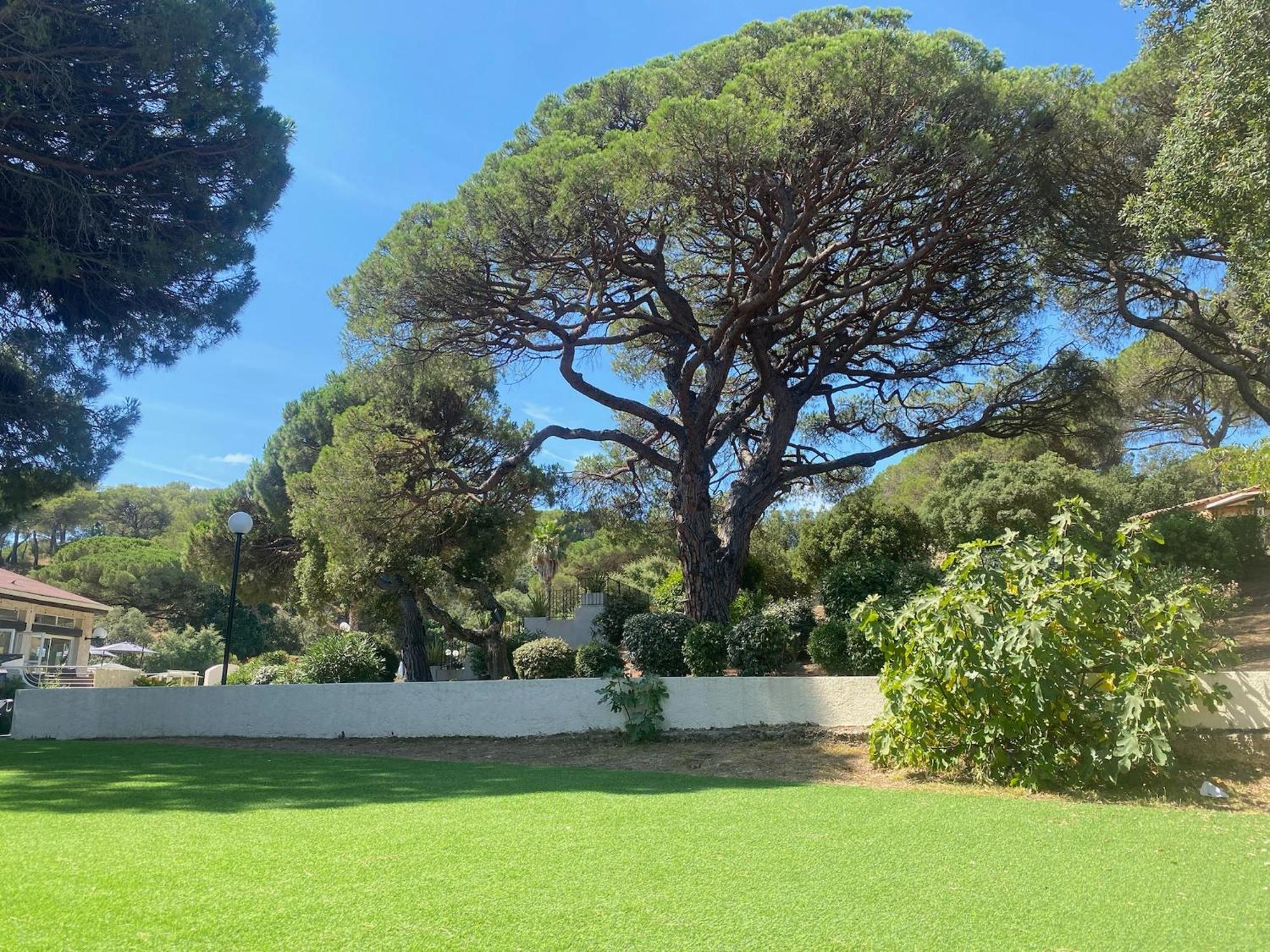 La Joya De Villepey Saint Aygulf Εξωτερικό φωτογραφία