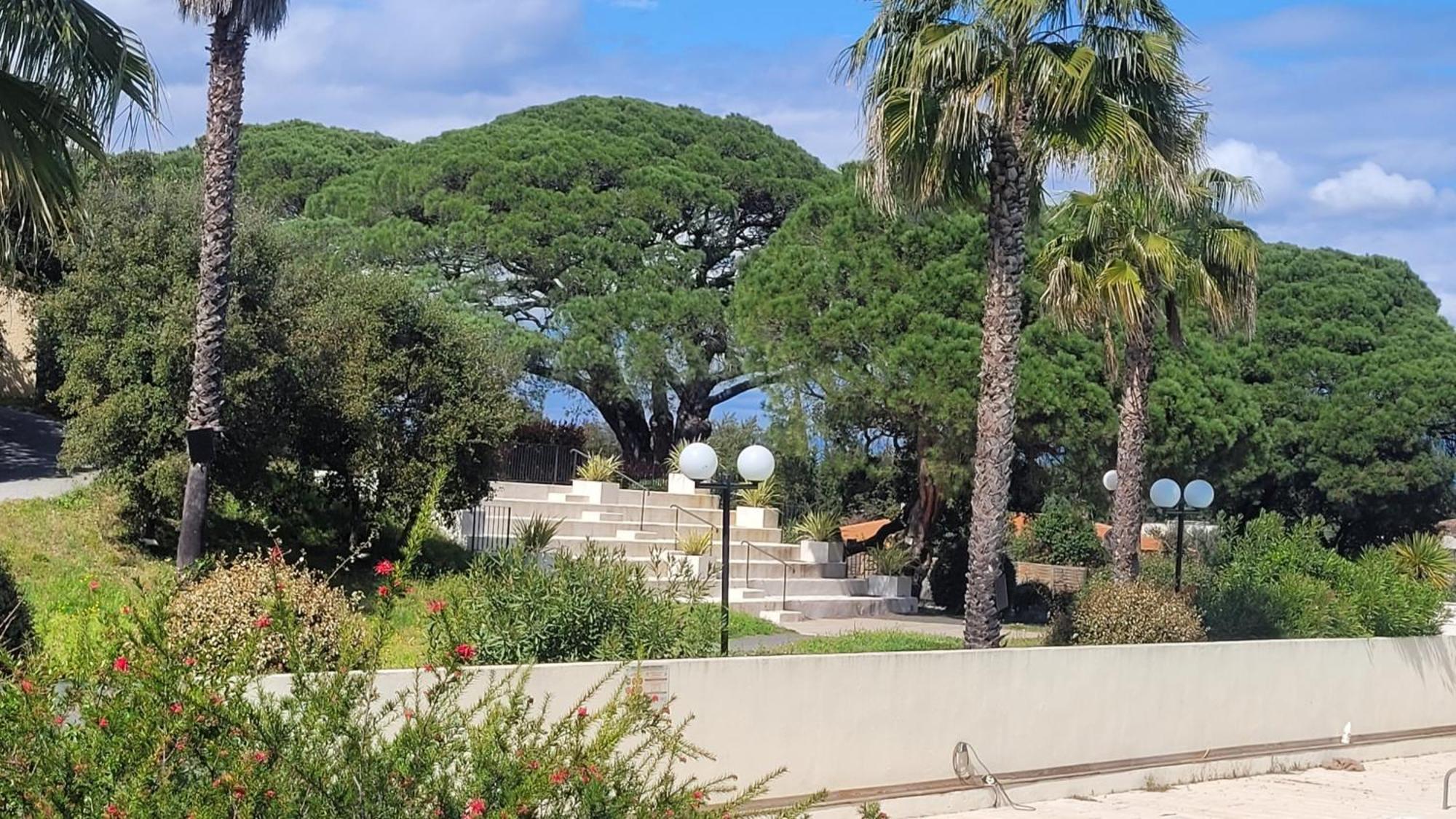 La Joya De Villepey Saint Aygulf Εξωτερικό φωτογραφία