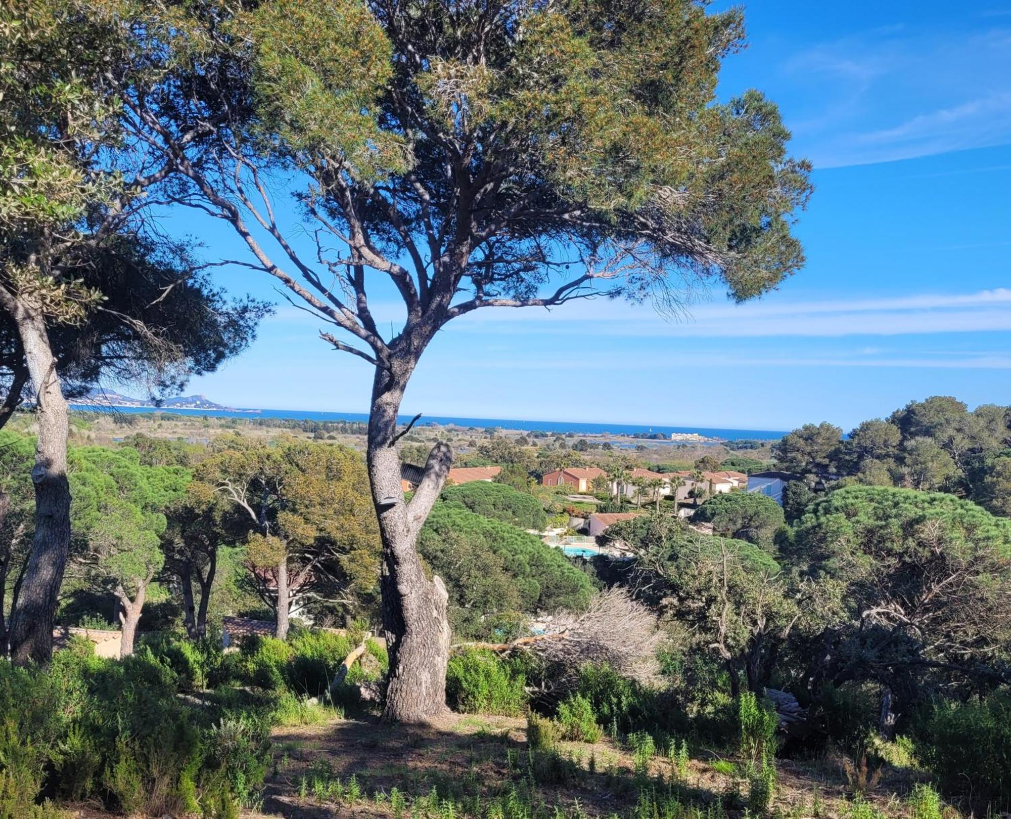 La Joya De Villepey Saint Aygulf Εξωτερικό φωτογραφία